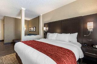 Hotel Comfort Inn Suites Cedar Rapids Cid Eastern Iowa
