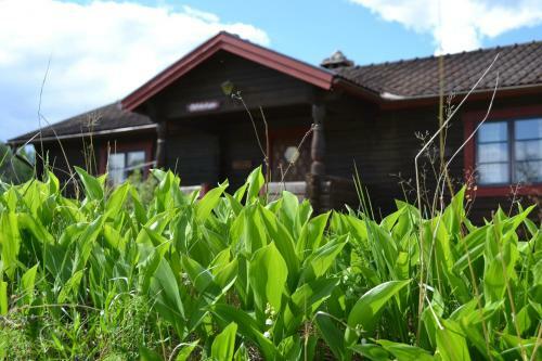 En�badets Camping & Hostel