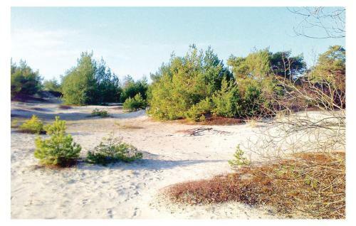 Holiday Home Gutebyv�gen Gotlands Tofta II