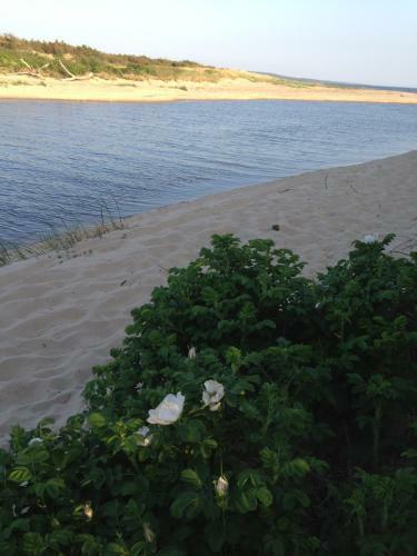 Bed & Breakfast Brog�rd