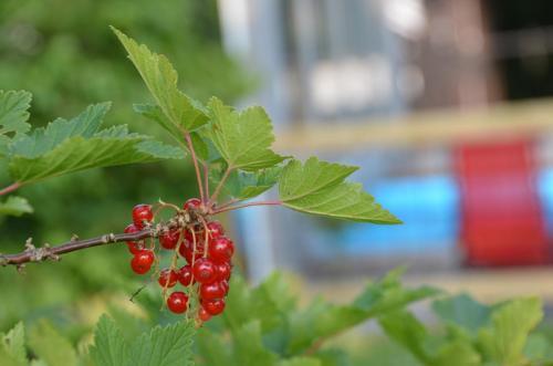 Bergs�ter Bed & Breakfast