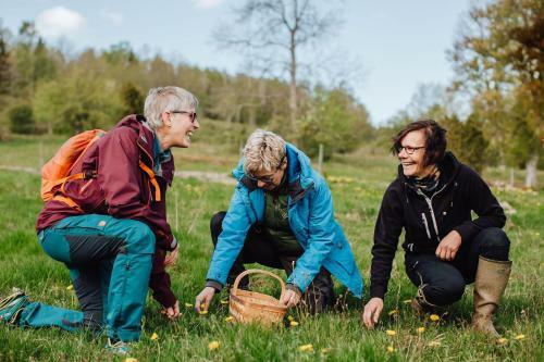 Hotel Wallby S�teri