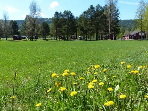 Bj�rkebo Camping