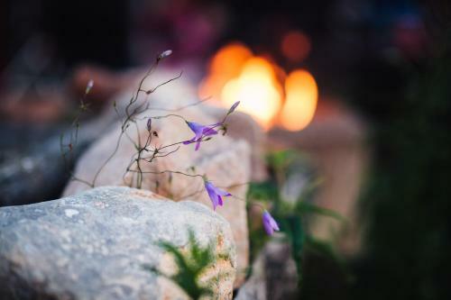 Bj�rkebo Camping