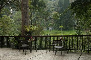 Hotel Plataran Puncak