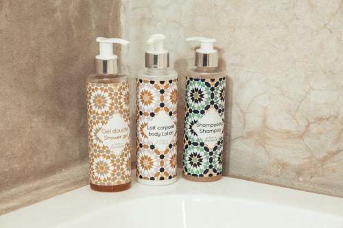 Hotel Riad Dar Elma & Spa