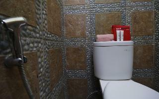Reddoorz Plus Near Universitas Indonesia