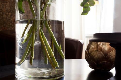 Hotel Centric