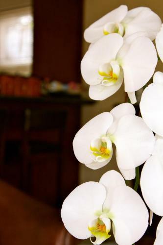 Hostal Four Palms Accommodation & Conferencing