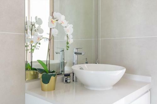 Apartamento Frank Porter - Studio One