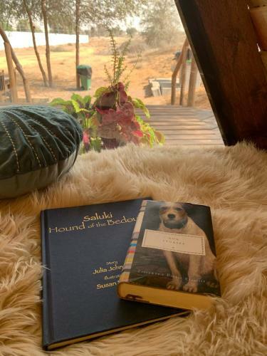 Rak Glamping