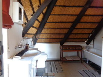 Hostal Treetops & Treats Guest House
