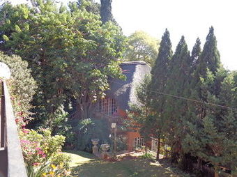 Hostal Treetops & Treats Guest House
