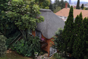 Hostal Treetops & Treats Guest House