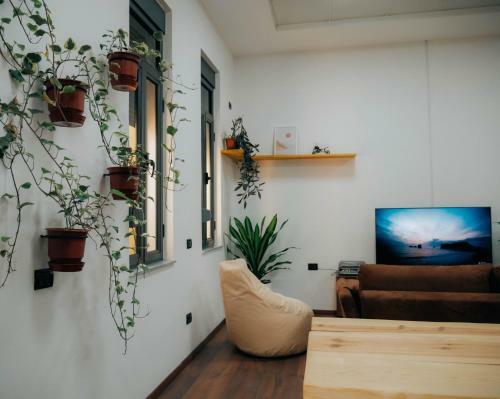 The Maze Hostel