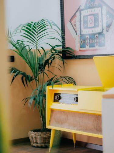 The Maze Hostel