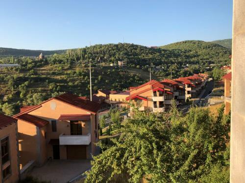 Elis Hotel In Tsaghkadzor