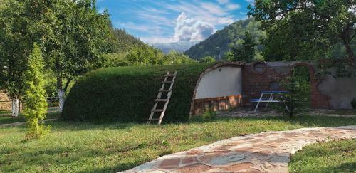 Hostal Cozy House