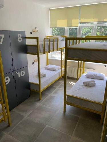 Duck Hostel