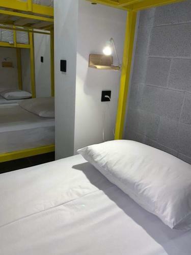 Duck Hostel