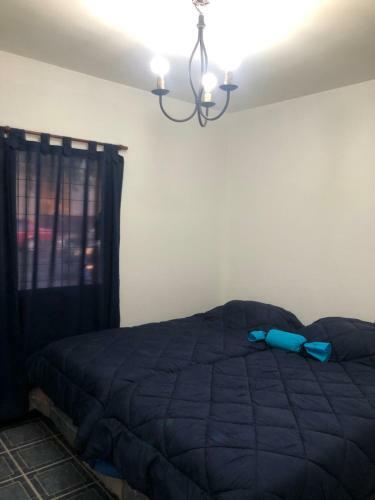 Apartamento Gordon Alojamiento