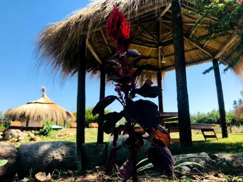Apartamento Valle Serrano