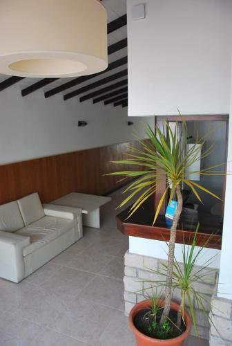 Sur Hotel