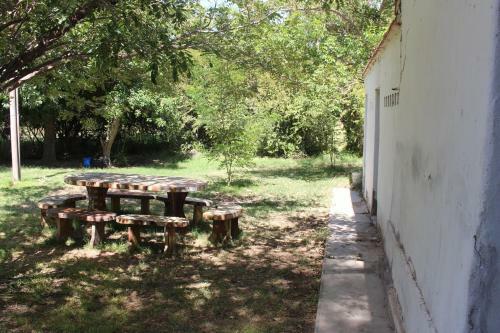 Caba�a En Olivar Centenario Agroecol�gico Tutuna