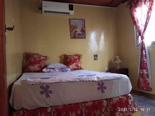 Lodge Caba�a Yguaz�