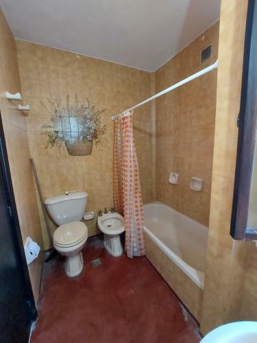 Coya Hostel