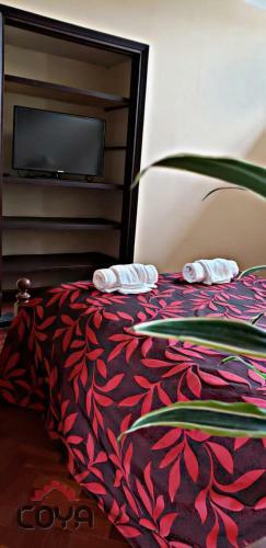 Coya Hostel