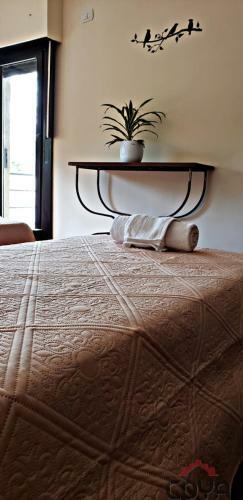 Coya Hostel