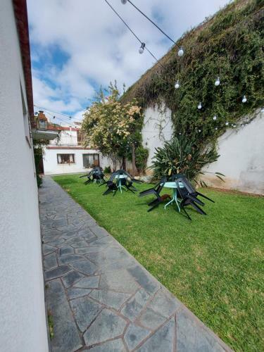 Coya Hostel