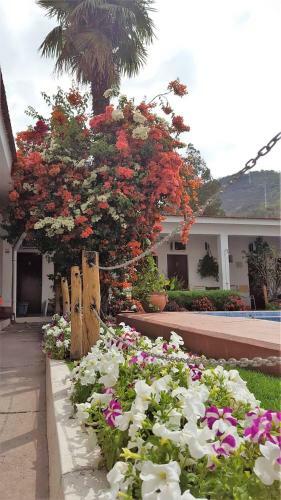 Petit Salta Hotel