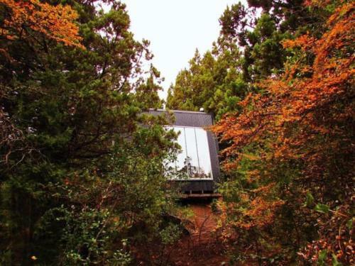 Caba�as Modernas de Dise�o En Bosque