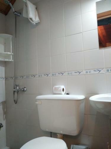 Hotel Hostel Del Pellin