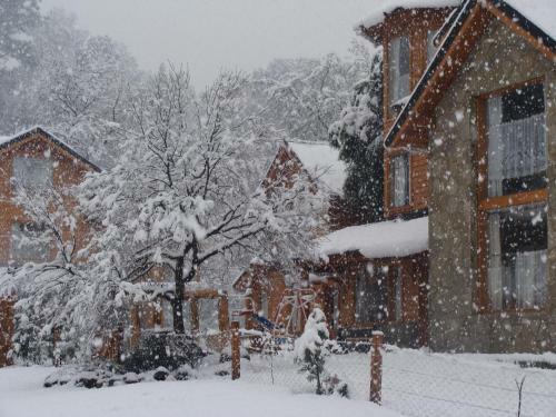 Hotel Hostel Del Pellin