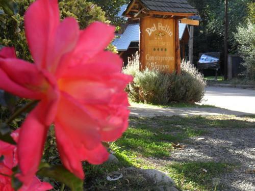 Hotel Hostel Del Pellin