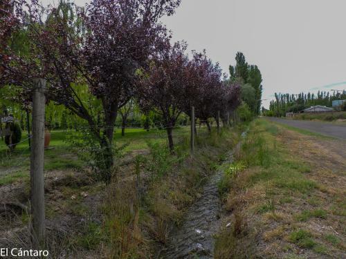 Apartamento El C�ntaro