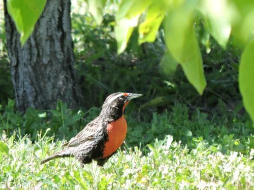 Apartamento El C�ntaro