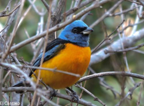 Apartamento El C�ntaro