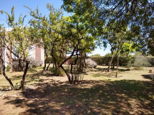 Caba�as Rayuela Y Otros Cuentos