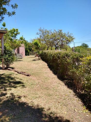 Caba�as Rayuela Y Otros Cuentos