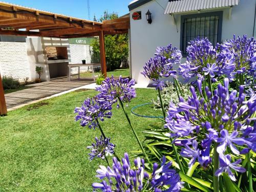 Lodge Caba�a A Pasos Del Lago