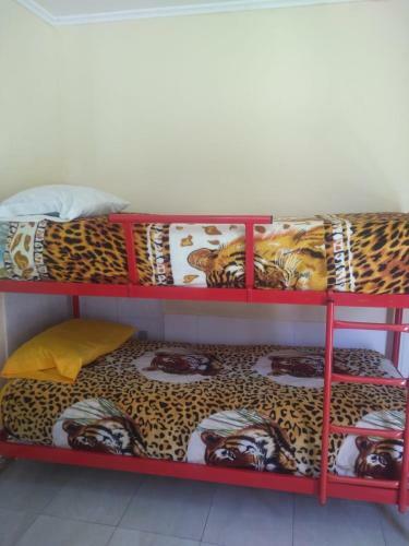 Apartamento Las Piedras