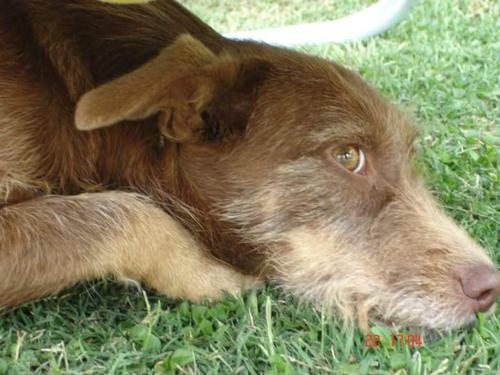 Caba�as Luna