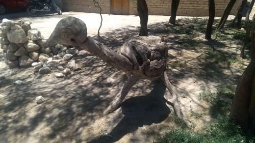 Camping Agreste El Algarrobo de Quilmes