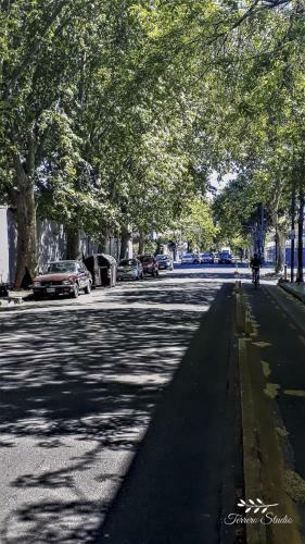 Apartamento Terrero Studio