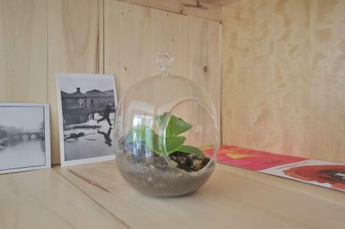 Apartamento Bright And Spacious Studio Palermo Hollywood Pool