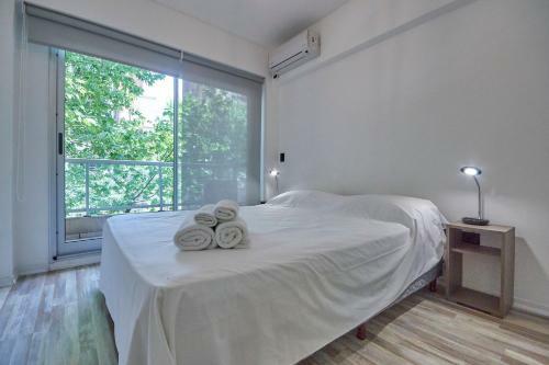 Luminous Apartment In Recoleta
